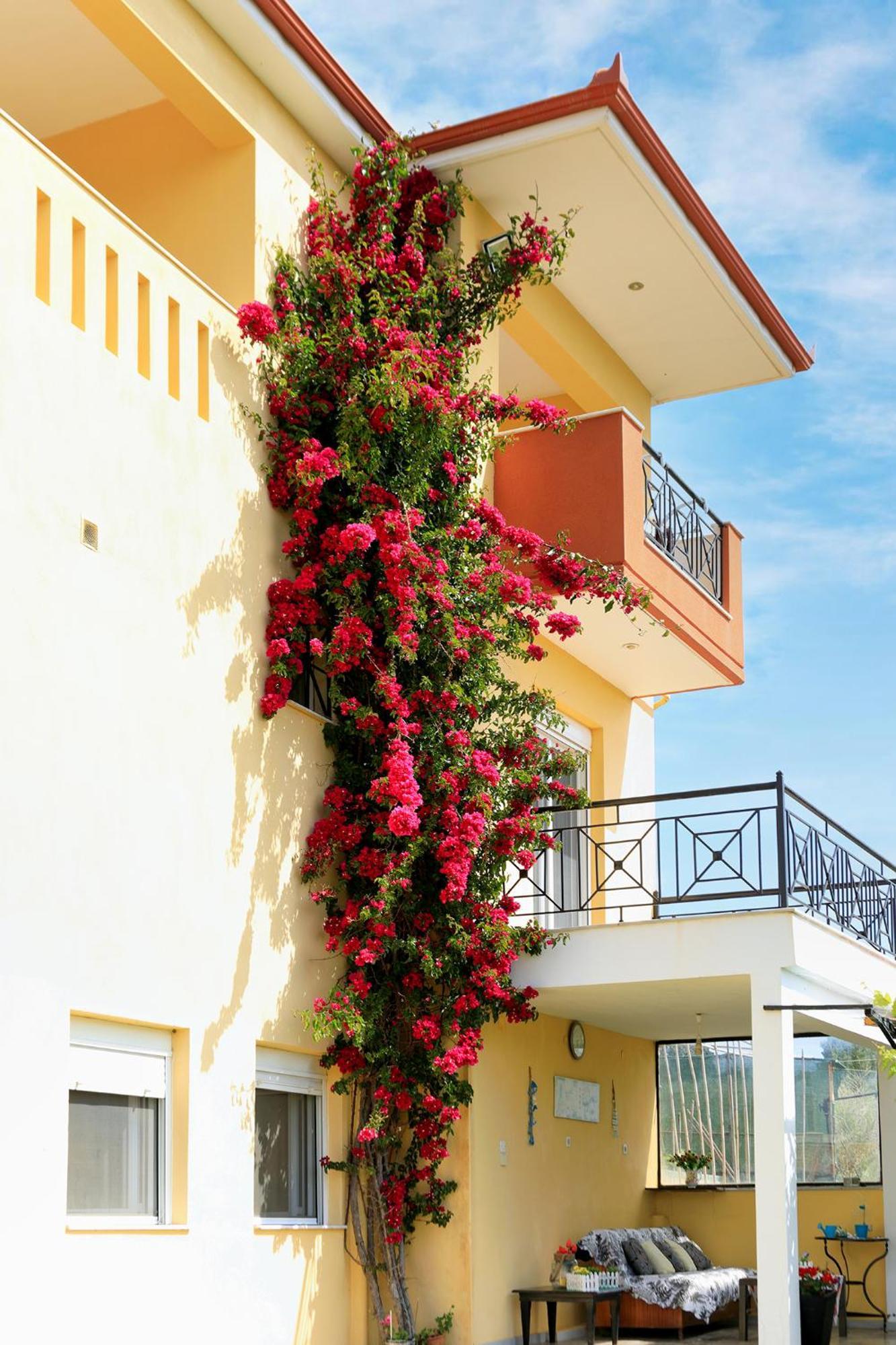 Ventus E Paradiso Villa Nikiti Halkidiki Екстериор снимка